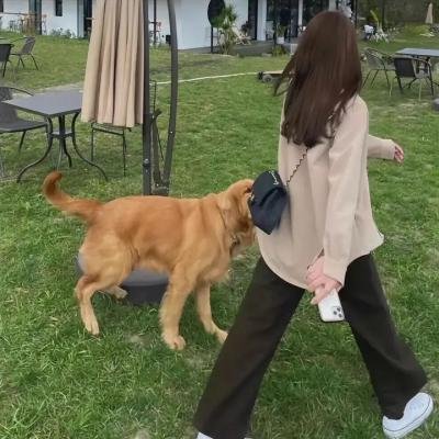 翻挞法兰妻 海报